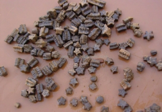 Fossil Products For Sale Fossil Products For Sale